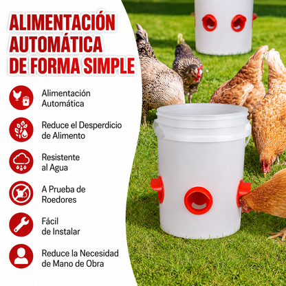 Comedero aves PACK x4 - Aves Más Saludables Huevos Más Grandes!