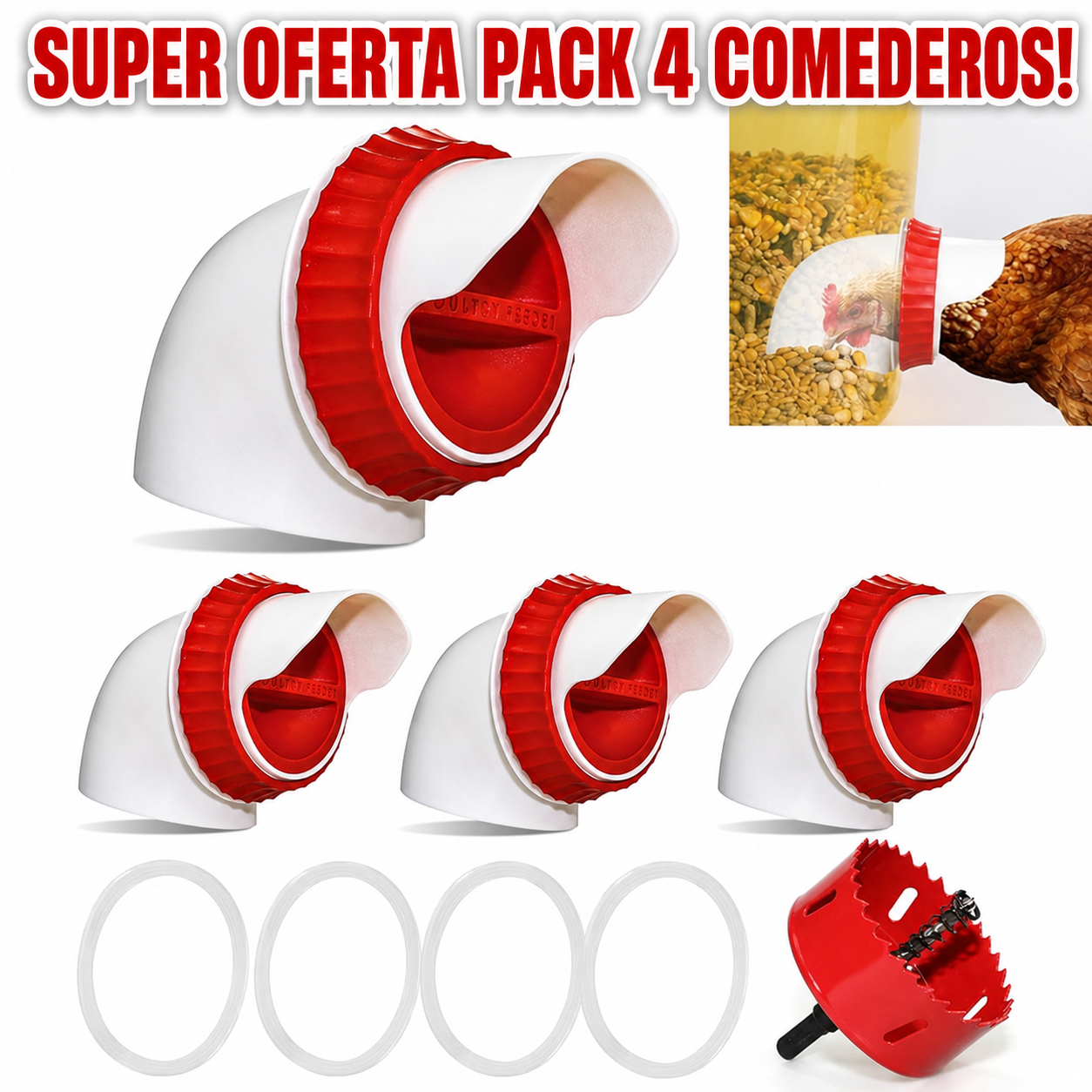 Comedero aves PACK x4 - Aves Más Saludables Huevos Más Grandes!